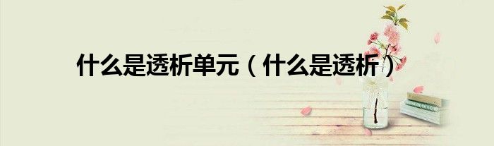 什么是透析單元（什么是透析）