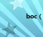 boc（說一說boc的簡(jiǎn)介）