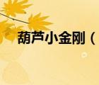 葫蘆小金剛（說一說葫蘆小金剛的簡介）