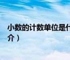 小數(shù)的計(jì)數(shù)單位是什么（說(shuō)一說(shuō)小數(shù)的計(jì)數(shù)單位是什么的簡(jiǎn)介）