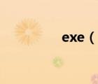 exe（說一說exe的簡介）