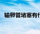 輸卵管堵塞有什么樣癥狀（怎樣快速懷孕）