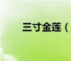 三寸金蓮（說一說三寸金蓮的簡介）