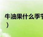 牛油果什么季節(jié)吃最好（寶寶吃牛油果的禁忌）