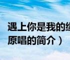 遇上你是我的緣原唱（說一說遇上你是我的緣原唱的簡(jiǎn)介）