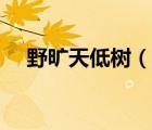 野曠天低樹(shù)（說(shuō)一說(shuō)野曠天低樹(shù)的簡(jiǎn)介）