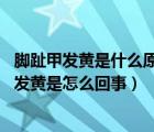 腳趾甲發(fā)黃是什么原因（腳趾甲變厚發(fā)黃的原因 腳趾甲變厚發(fā)黃是怎么回事）