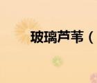 玻璃蘆葦（說一說玻璃蘆葦?shù)暮喗椋?/>
                                    </a>
                                                </div>
                                    <div   id=