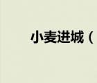 小麥進(jìn)城（說一說小麥進(jìn)城的簡介）