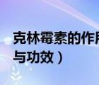 克林霉素的作用與功效ppt（克林霉素的作用與功效）