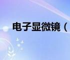 電子顯微鏡（說(shuō)一說(shuō)電子顯微鏡的簡(jiǎn)介）