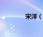 宋洋（說一說宋洋的簡介）