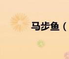 馬步魚（說一說馬步魚的簡介）