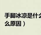手腳冰涼是什么原因怎樣治療（手腳冰涼是什么原因）