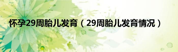 懷孕29周胎兒發(fā)育（29周胎兒發(fā)育情況）