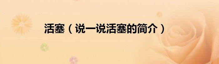 活塞（說(shuō)一說(shuō)活塞的簡(jiǎn)介）