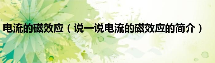 電流的磁效應(yīng)（說(shuō)一說(shuō)電流的磁效應(yīng)的簡(jiǎn)介）