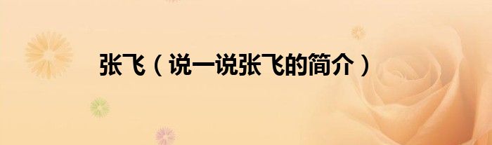 張飛（說(shuō)一說(shuō)張飛的簡(jiǎn)介）