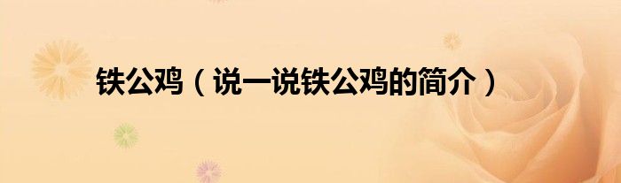 鐵公雞（說一說鐵公雞的簡(jiǎn)介）