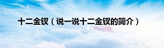 十二金釵（說一說十二金釵的簡介）