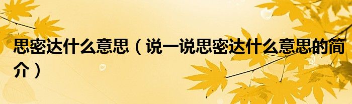 思密達什么意思（說一說思密達什么意思的簡介）