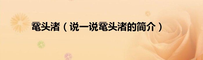 黿頭渚（說一說黿頭渚的簡介）