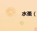 水蚤（說一說水蚤的簡介）