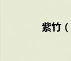 紫竹（說一說紫竹的簡(jiǎn)介）
