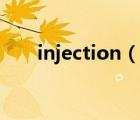 injection（說一說injection的簡(jiǎn)介）