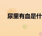 尿里有血是什么原因（尿里有血什么樣）