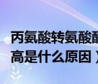 丙氨酸轉(zhuǎn)氨酸酶高是怎么回事（丙氨酸轉(zhuǎn)氨酶高是什么原因）