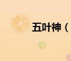 五葉神（說一說五葉神的簡介）
