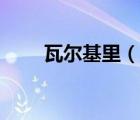 瓦爾基里（說(shuō)一說(shuō)瓦爾基里的簡(jiǎn)介）
