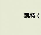 凱特（說一說凱特的簡(jiǎn)介）