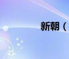 新朝（說(shuō)一說(shuō)新朝的簡(jiǎn)介）