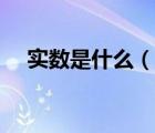 實(shí)數(shù)是什么（說一說實(shí)數(shù)是什么的簡介）