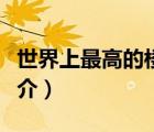 世界上最高的樓（說(shuō)一說(shuō)世界上最高的樓的簡(jiǎn)介）
