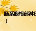 腸系膜根部淋巴結(jié)腫大（腸系膜淋巴結(jié)嚴(yán)重嗎）