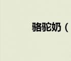 駱駝奶（說一說駱駝奶的簡介）