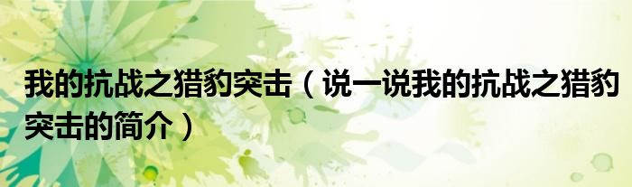 我的抗戰(zhàn)之獵豹突擊（說(shuō)一說(shuō)我的抗戰(zhàn)之獵豹突擊的簡(jiǎn)介）