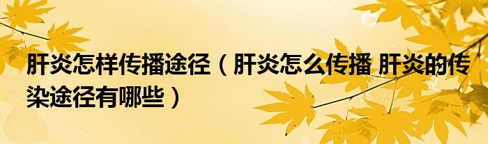 肝炎怎樣傳播途徑（肝炎怎么傳播 肝炎的傳染途徑有哪些）