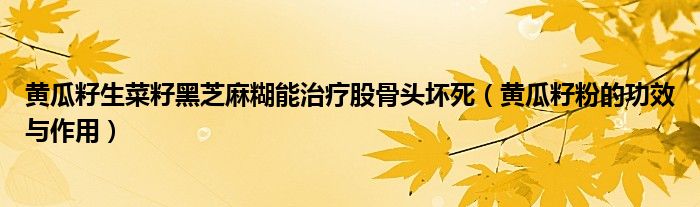 黃瓜籽生菜籽黑芝麻糊能治療股骨頭壞死（黃瓜籽粉的功效與作用）