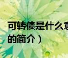 可轉(zhuǎn)債是什么意思（說一說可轉(zhuǎn)債是什么意思的簡介）