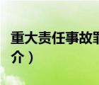 重大責(zé)任事故罪（說(shuō)一說(shuō)重大責(zé)任事故罪的簡(jiǎn)介）