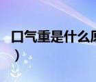 口氣重是什么原因引起的（口氣重是什么原因）