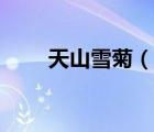 天山雪菊（說(shuō)一說(shuō)天山雪菊的簡(jiǎn)介）