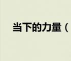 當(dāng)下的力量（說(shuō)一說(shuō)當(dāng)下的力量的簡(jiǎn)介）
