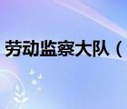 勞動監(jiān)察大隊（說一說勞動監(jiān)察大隊的簡介）
