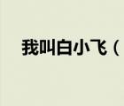 我叫白小飛（說一說我叫白小飛的簡介）