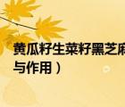 黃瓜籽生菜籽黑芝麻糊能治療股骨頭壞死（黃瓜籽粉的功效與作用）